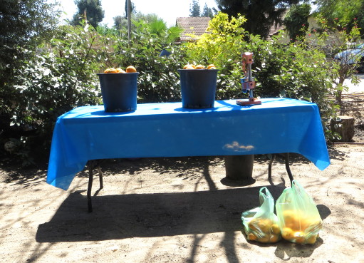 סחיטת תפוזים ביום הולדת יריד שעשועים של בלונים ושוקולד